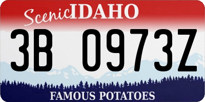ID license plate 3B0973Z