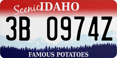 ID license plate 3B0974Z
