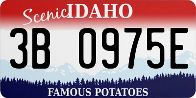 ID license plate 3B0975E