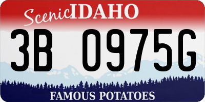 ID license plate 3B0975G