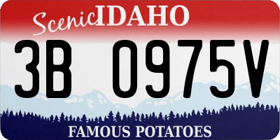 ID license plate 3B0975V
