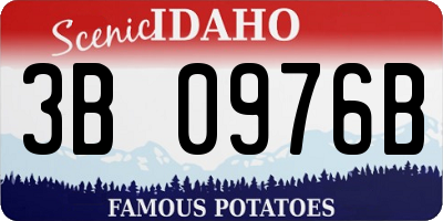 ID license plate 3B0976B