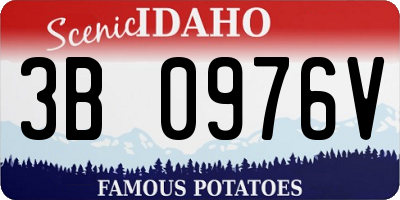 ID license plate 3B0976V