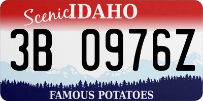 ID license plate 3B0976Z