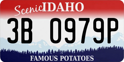 ID license plate 3B0979P