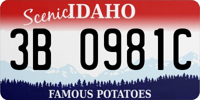 ID license plate 3B0981C