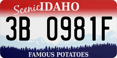 ID license plate 3B0981F