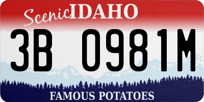 ID license plate 3B0981M