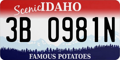 ID license plate 3B0981N