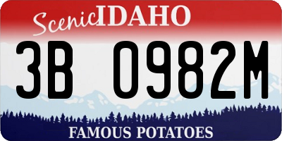 ID license plate 3B0982M