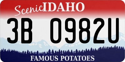 ID license plate 3B0982U