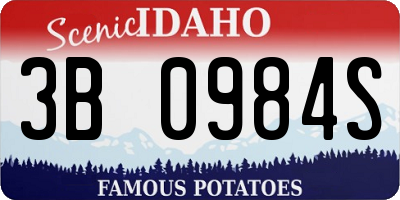 ID license plate 3B0984S