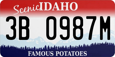 ID license plate 3B0987M