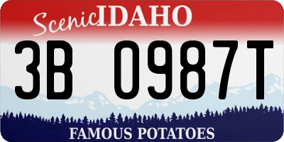 ID license plate 3B0987T