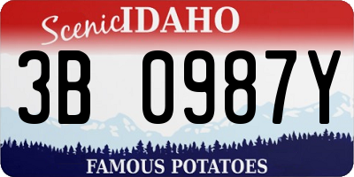 ID license plate 3B0987Y