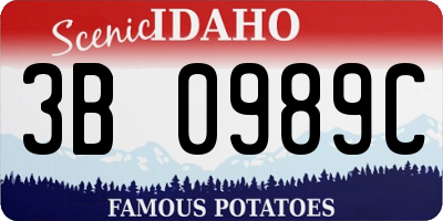 ID license plate 3B0989C