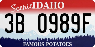 ID license plate 3B0989F