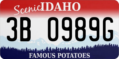 ID license plate 3B0989G
