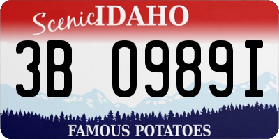 ID license plate 3B0989I