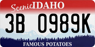 ID license plate 3B0989K