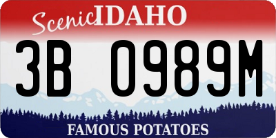ID license plate 3B0989M