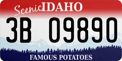 ID license plate 3B0989O