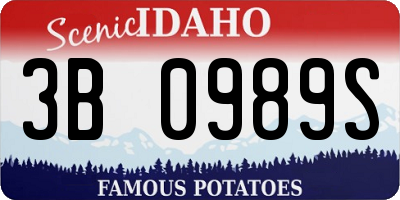 ID license plate 3B0989S
