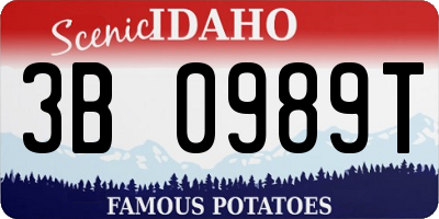 ID license plate 3B0989T