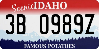 ID license plate 3B0989Z