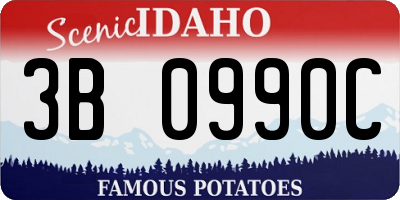 ID license plate 3B0990C
