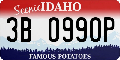 ID license plate 3B0990P