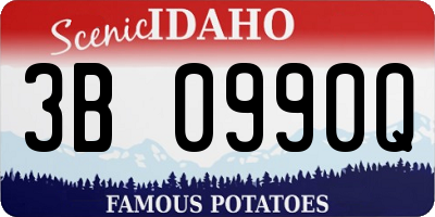 ID license plate 3B0990Q