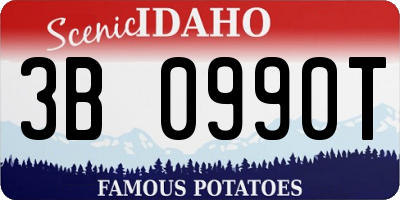 ID license plate 3B0990T