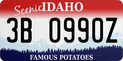ID license plate 3B0990Z