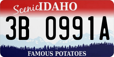 ID license plate 3B0991A