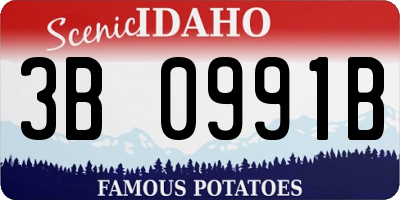 ID license plate 3B0991B