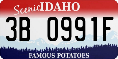 ID license plate 3B0991F