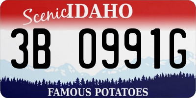ID license plate 3B0991G