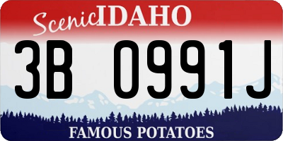 ID license plate 3B0991J