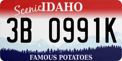 ID license plate 3B0991K