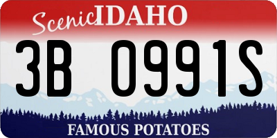 ID license plate 3B0991S