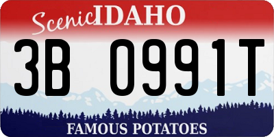 ID license plate 3B0991T
