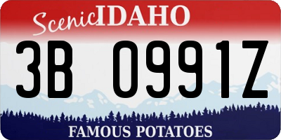 ID license plate 3B0991Z