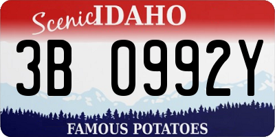 ID license plate 3B0992Y