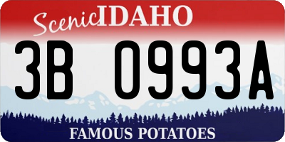 ID license plate 3B0993A