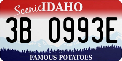 ID license plate 3B0993E