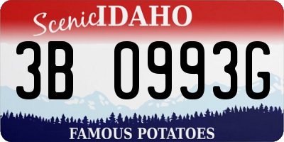 ID license plate 3B0993G