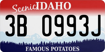 ID license plate 3B0993J