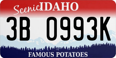 ID license plate 3B0993K