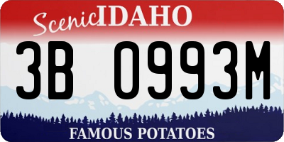 ID license plate 3B0993M